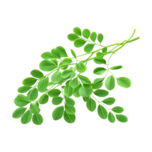 HIERBAS - Moringa x 50 Grs